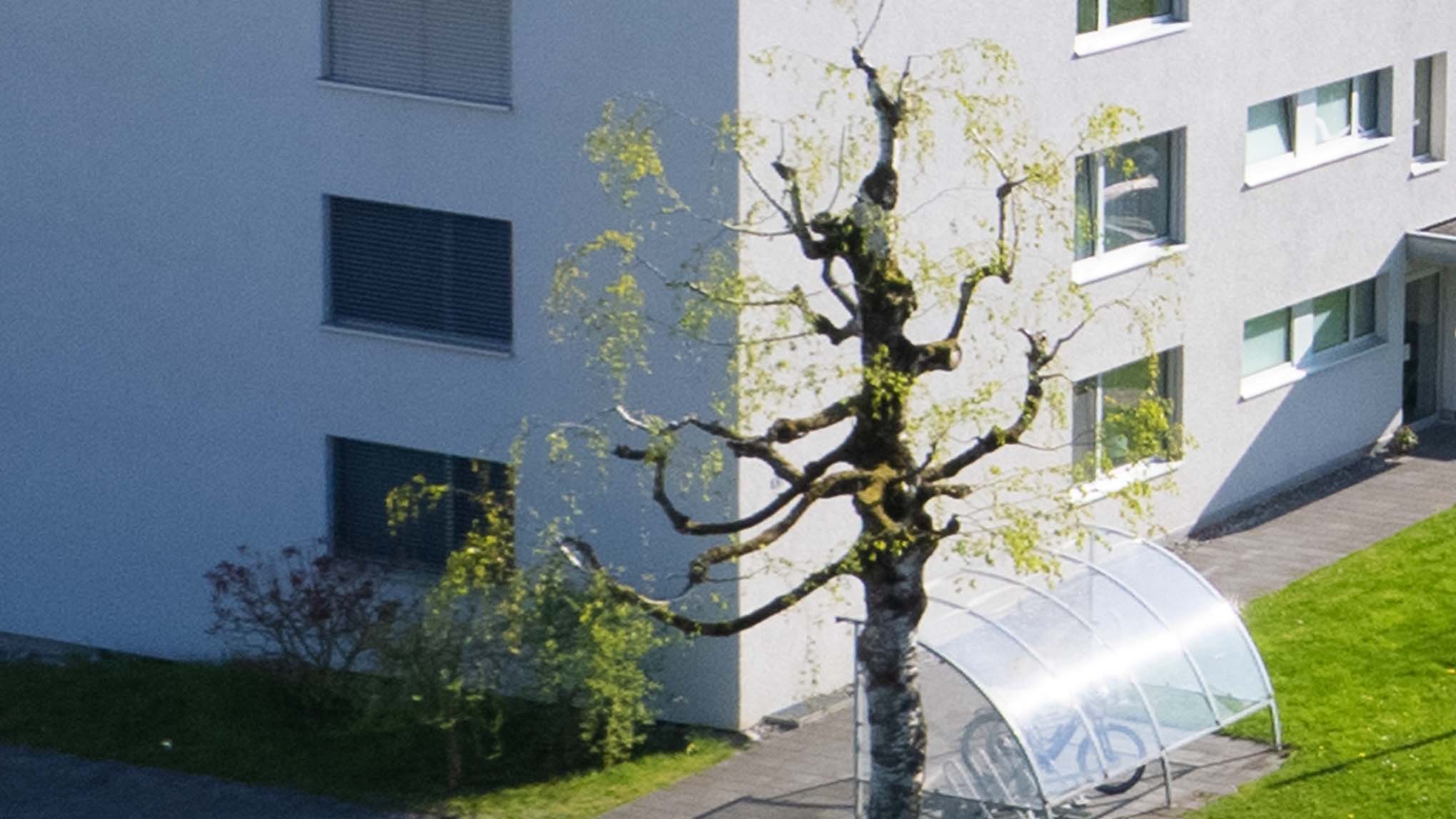 Veloständer